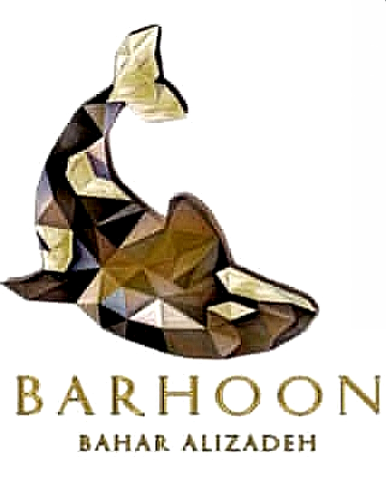 برهون دیزاین